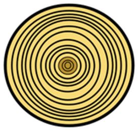 Lesson 2 image
